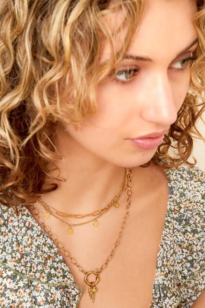 Collier Chaîne Cercle Couleur or Acier inoxydable h5 Image2